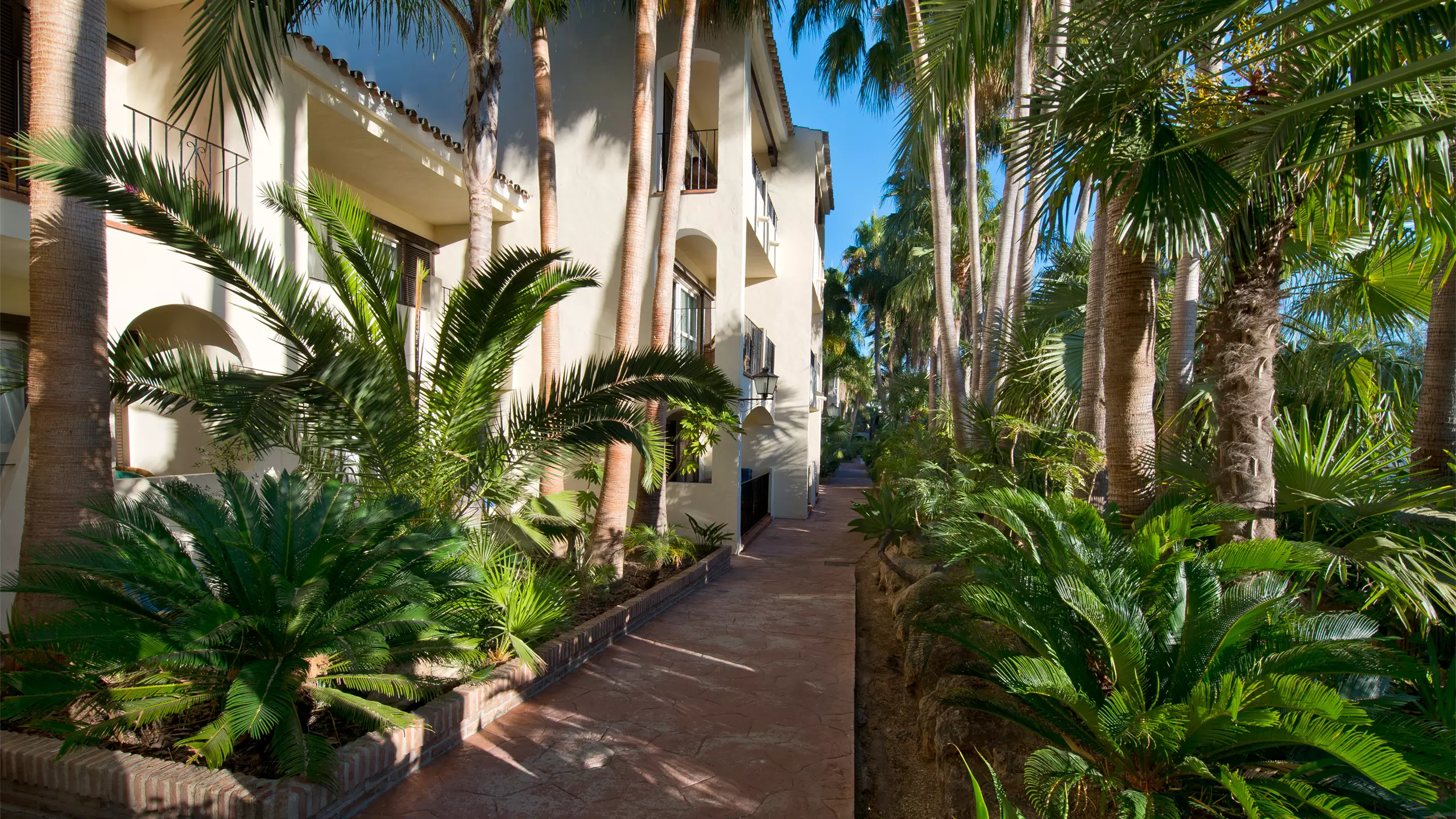 Hotel gallery image 1