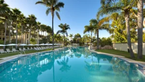 A large outdoor swimming pool surrounded by palm trees, sun loungers, and umbrellas on a clear, sunny day.